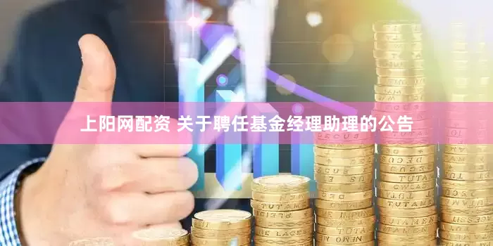 上阳网配资 关于聘任基金经理助理的公告